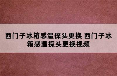 西门子冰箱感温探头更换 西门子冰箱感温探头更换视频